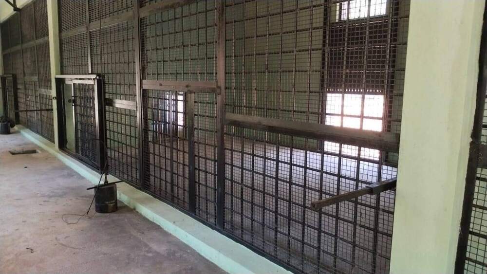 Holding cage interior with sliding steel gate