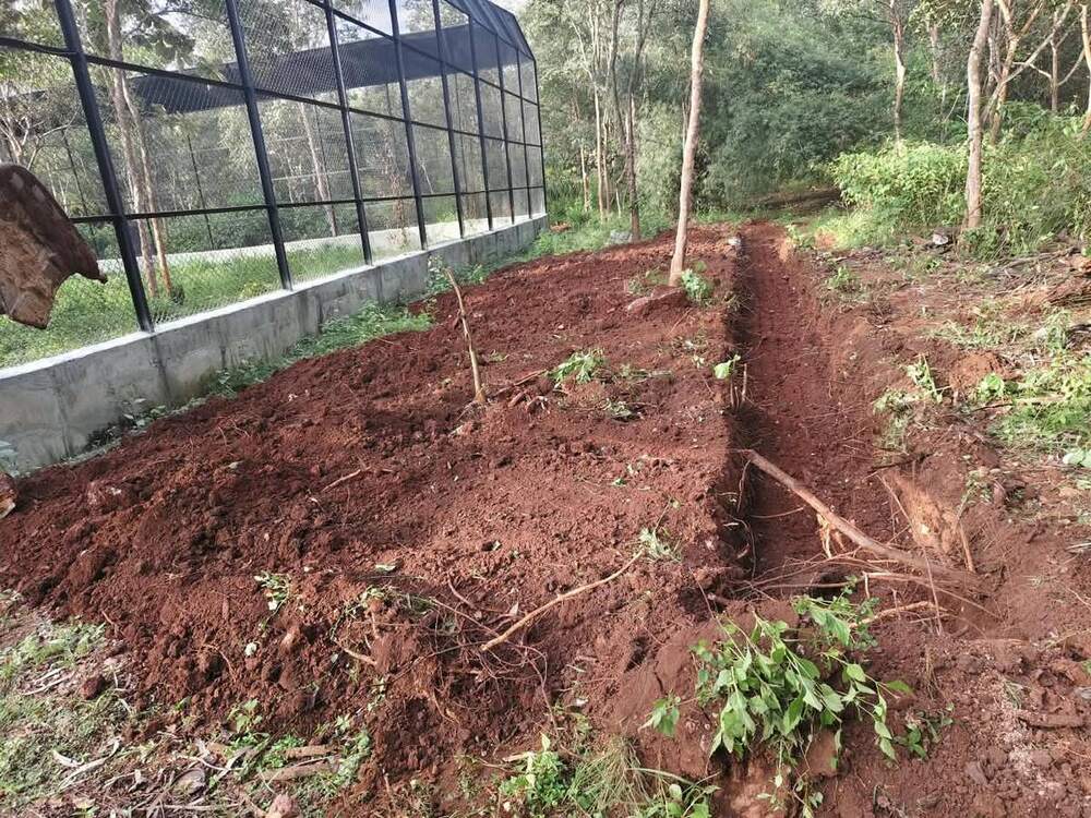 Elephant proof trenches and railway barricades