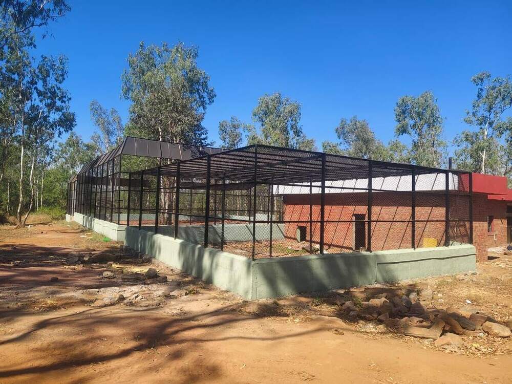 Completed holding room and steel paddock enclosure at Tiger and Lion Safari, Thyavarekoppa