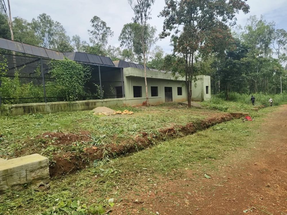 Leopard rescue centre with paddocks behind
