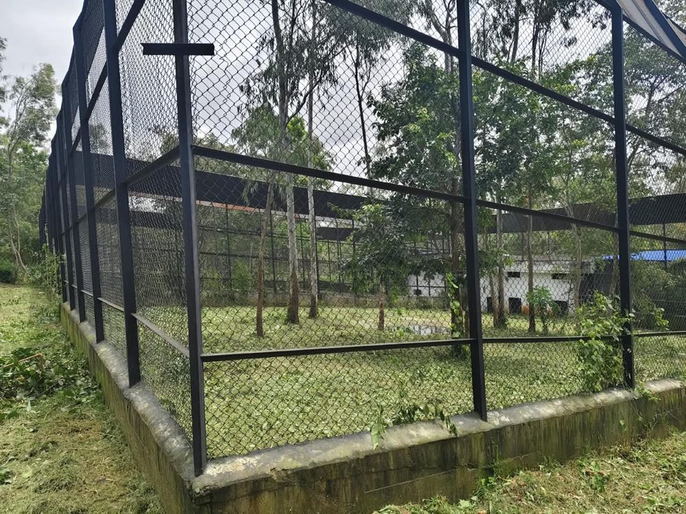 Chain link paddock enclosure among trees