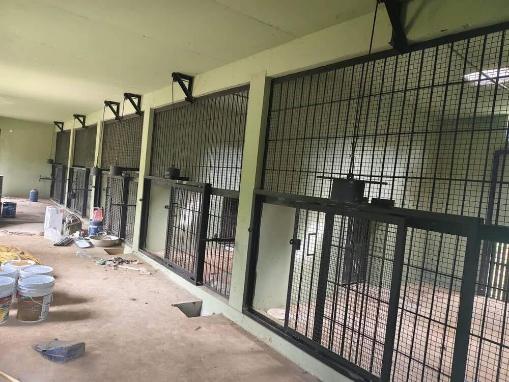 Row of steel holding cages inside the leopard block