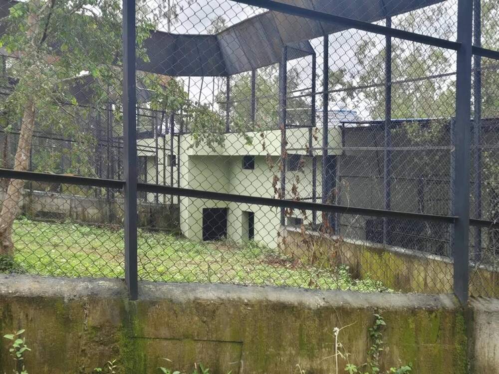 Steel paddock enclosure among trees