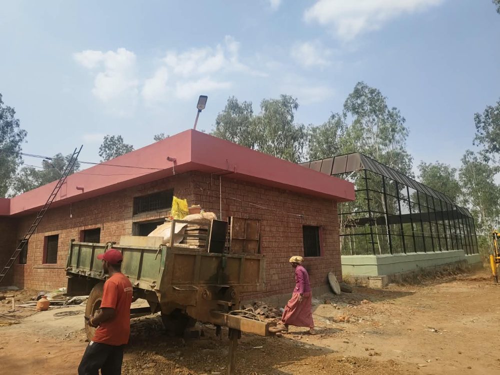 Tiger holding room during finishing works, with crew on site